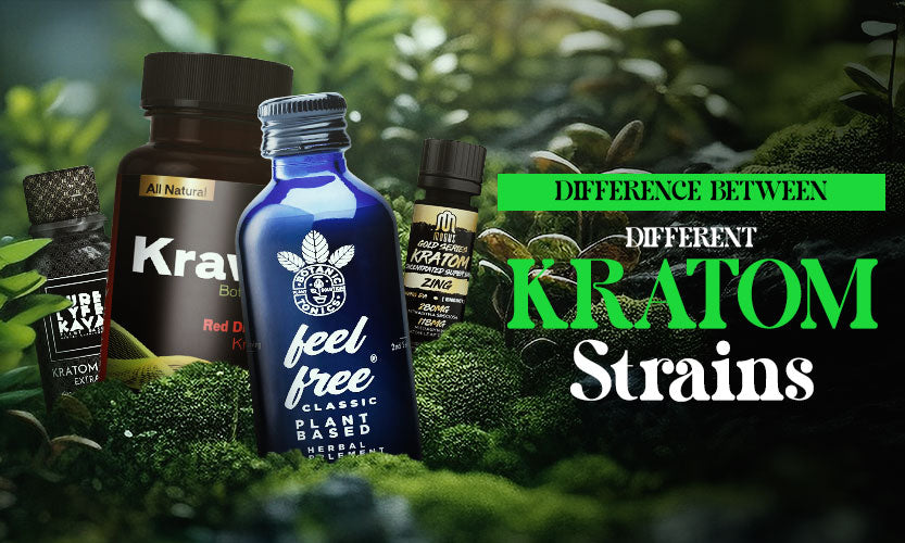 What’s The Difference between Different Kratom Strains?