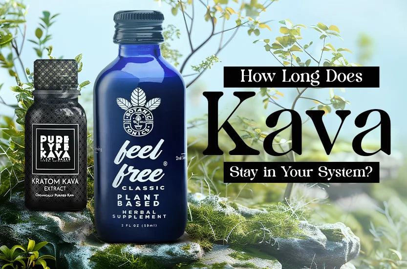 How Long Does Kava Stay in Your System?