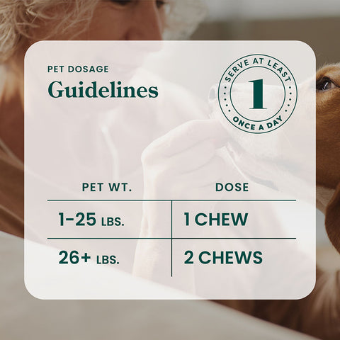 R&R Medicinals | Chicken Flavor Full Spectrum CBD Calming Dog Chews - 300mg/60 Count