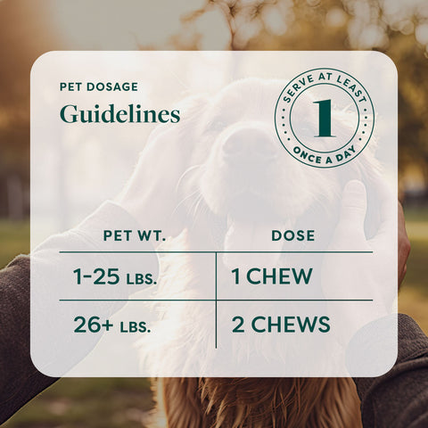 R&R Medicinals | Chicken Flavor Full Spectrum CBD Dog Chews - 300mg/60 Count